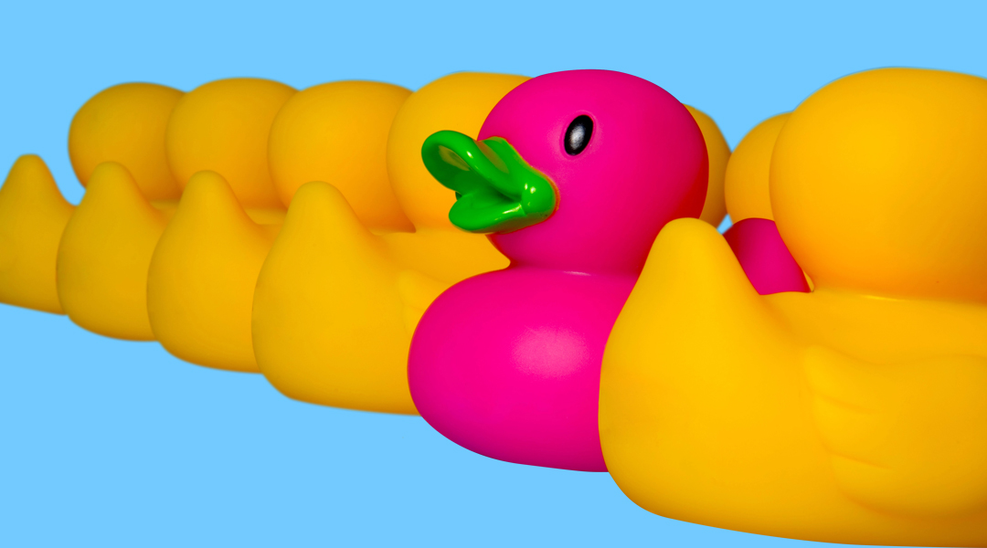 Image of a magenta plastic duck with a line of yellow plastic ducks