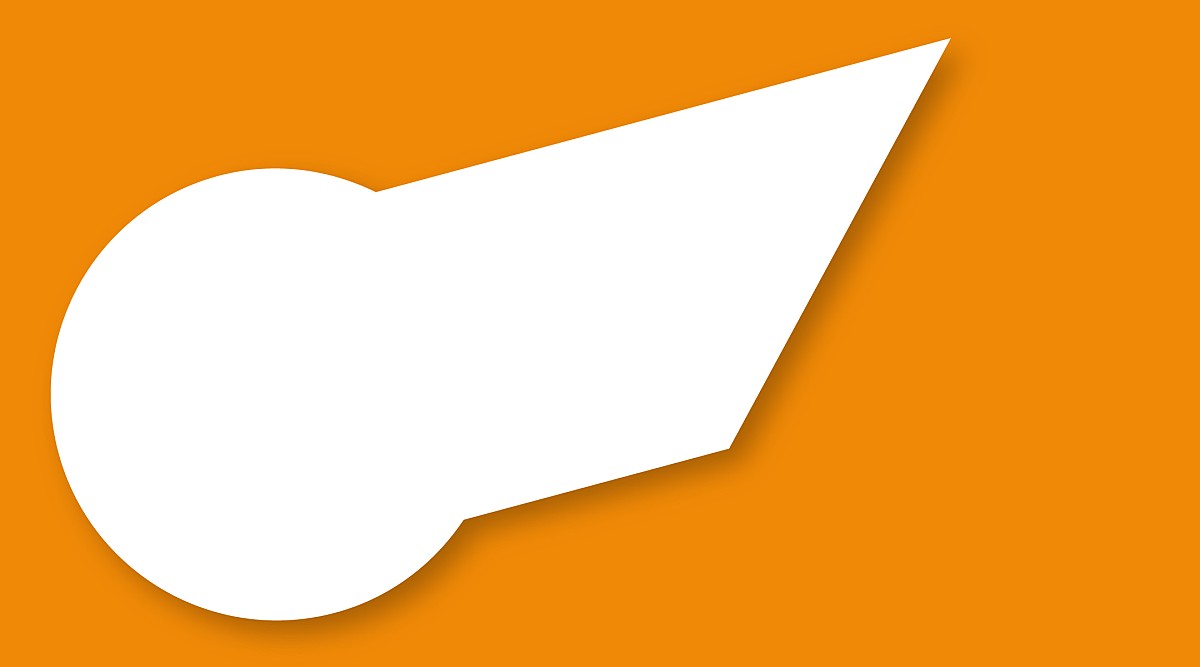Graphic of a wing logo