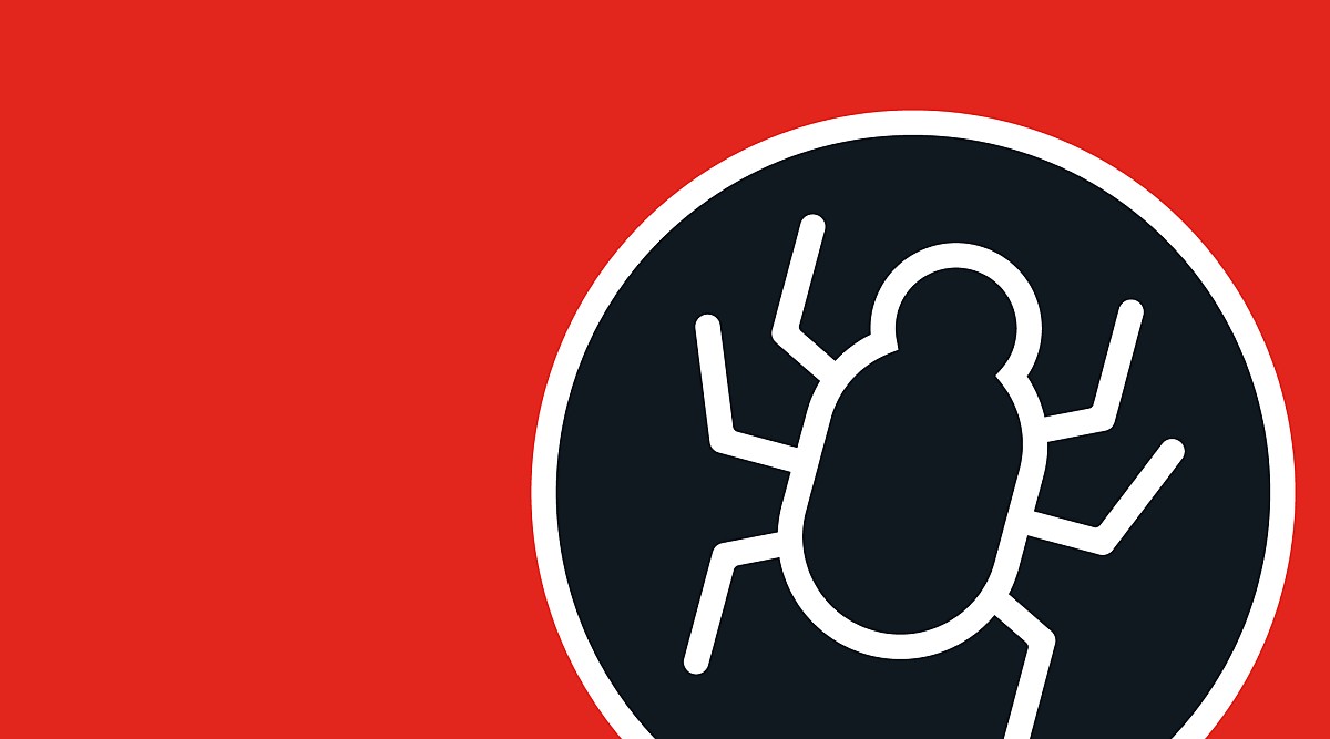 Graphic of a computer bug